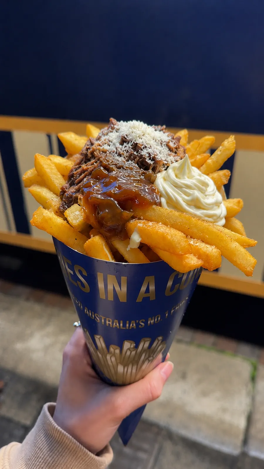 Nillas Belgian frites cone loaded with brisket, gravy, shaved parmesan and aioli
